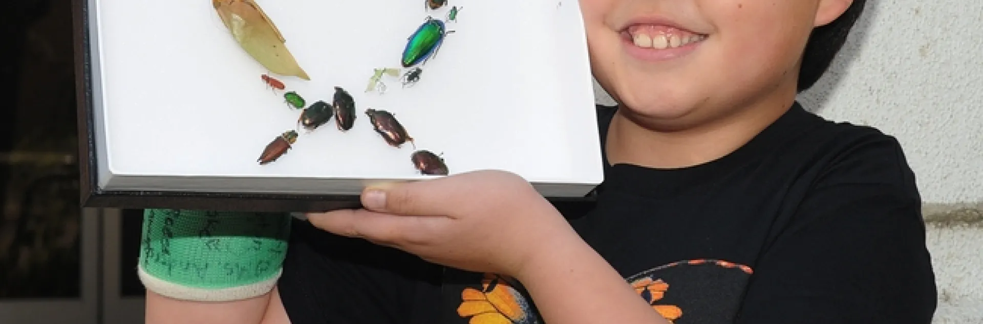 James Heydon, 10, of Davis, admires a “bug” wreath made by Tabatha Yang, education and outreach coordinator at the Bohart Museum of Entomology. (Photo by Kathy Keatley Garvey)