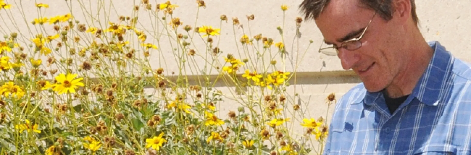 Pollination ecologist Neal Williams, assistant professor of entomology at UC Davis, will be one of the featured speakers at the International Symposium on Pollinator Conservation. (Photo by Kathy Keatley Garvey)