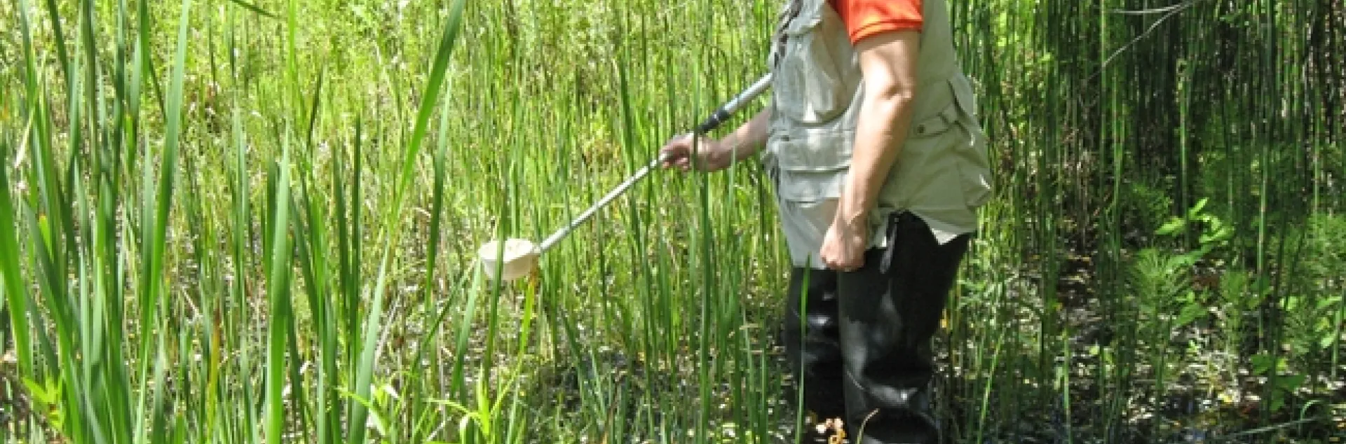 Jamesina Scott at work. (Photo by Dave Woodward)