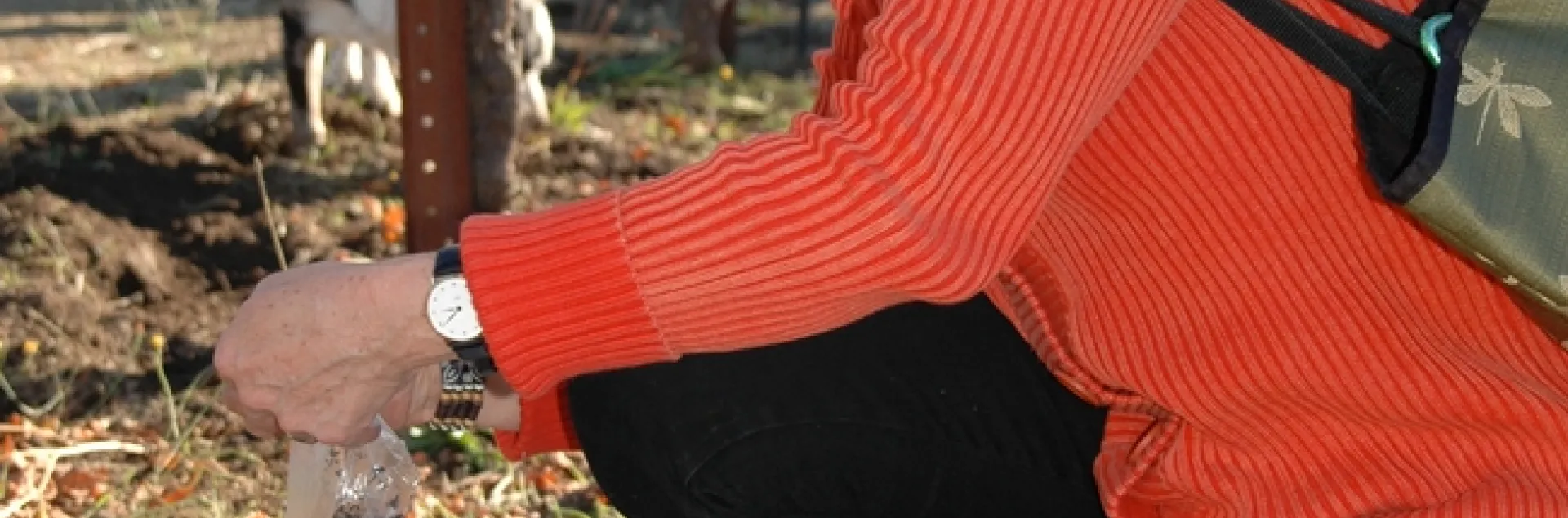 Pamela Marrone is an international expert in agricultural biotechnology and bioscience