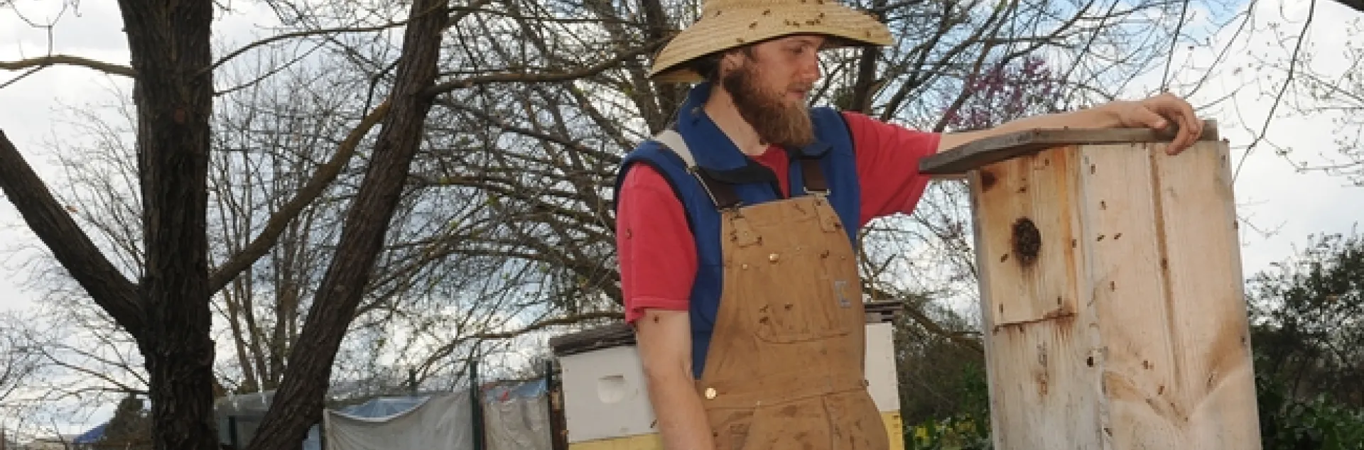 Derek Downey checks out a birdhouse filled with bees. The bees swarmed March 30 and are now established in a once-vacant bee box in the sanctuary. (Photo by Kathy Keatley Garvey)