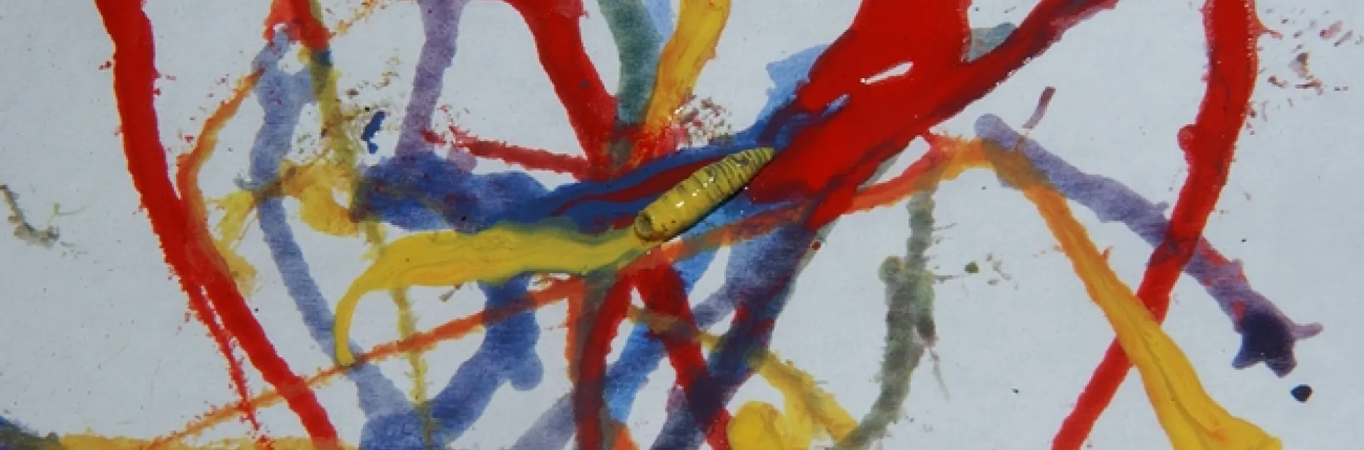Maggot Art involves maggots dipped into and non-toxic, water-based paints. (Photo by Kathy Keatley Garvey)