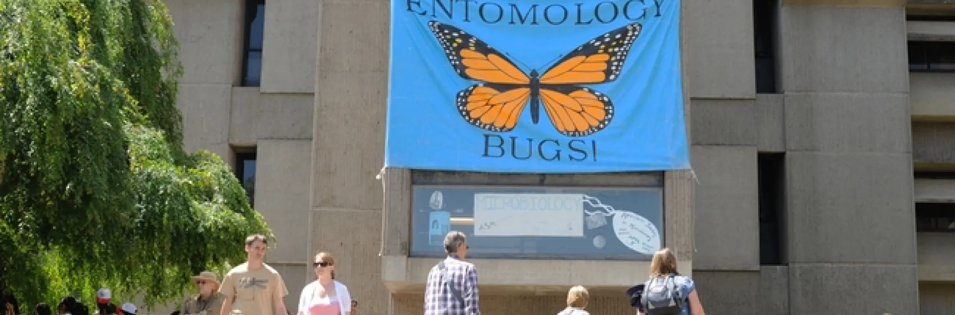 Bug banner at Briggs beckons. (Photo by Kathy Keatley Garvey)