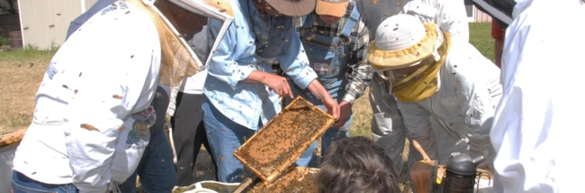 Bee breeder-geneticist Susan Cobey (center with frame) teaches a queen-bee rearing class. (Photo by Kathy Keatley Garvey)