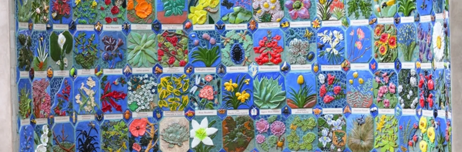 Nature's Gallery, a mosaic mural celebrating insects and plants, is now at home in the Storer Garden, UC Davis Arboretum, on Garrod Drive. (Photo by Kathy Keatley Garvey)