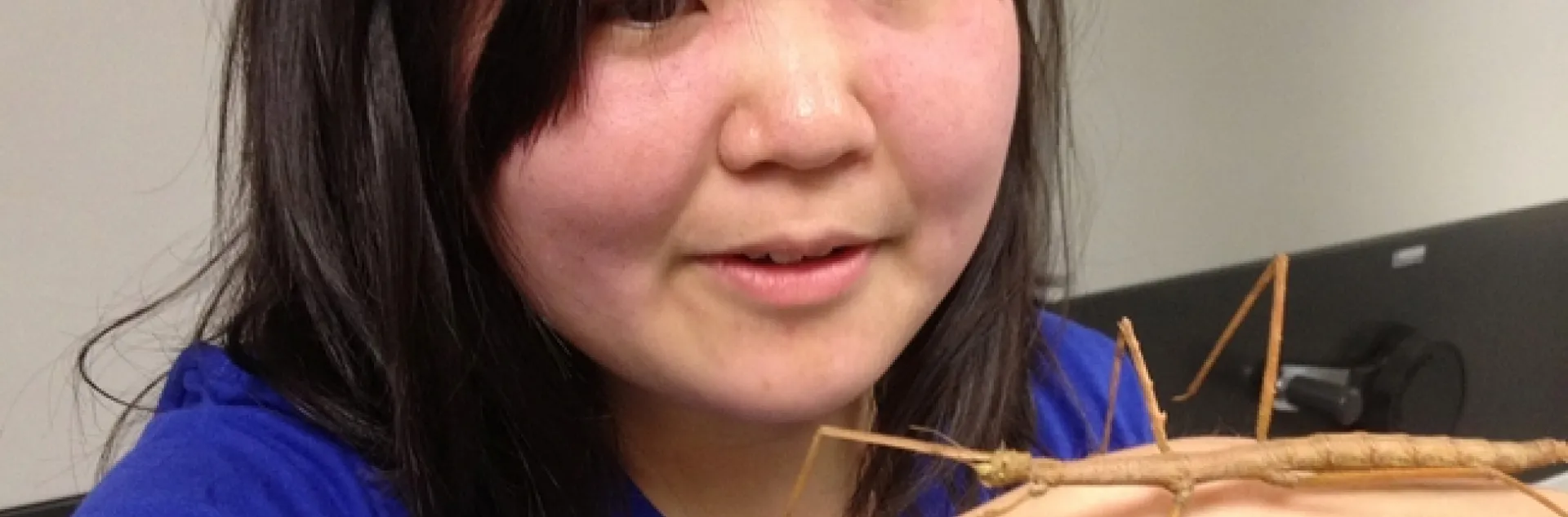 Ivana Li with a walking stick. (Photo by Fran Keller, Bohart Museum of Entomology)
