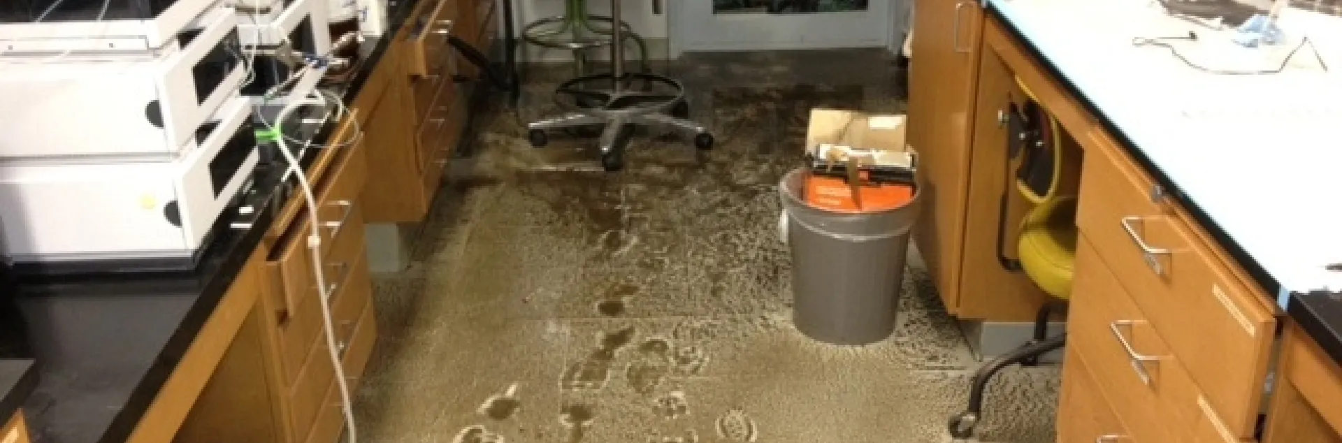 Bruce Hammock lab: a victim of the rainstorm. (Photo by Bruce Hammock)