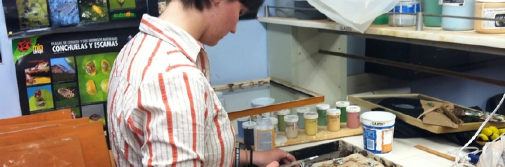 Entomology student Whitney Krupp at work on her display for the show, "Organism." (Photo courtesy of Anna Davidson)