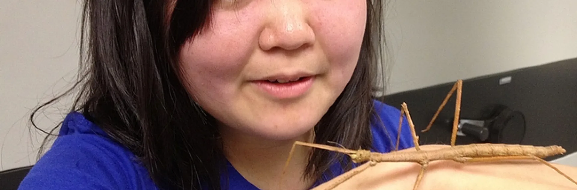 UC Davis undergraduate student Ivana Li with a walking stick. She's an entomologist, an artist, and president of the UC Davis Entomology Club. (Photo by Kathy Keatley Garvey)