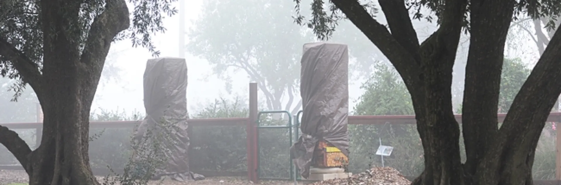 Beneath these weather-protective tarps: bee-box pillars. (Photo by Kathy Keatley Garvey