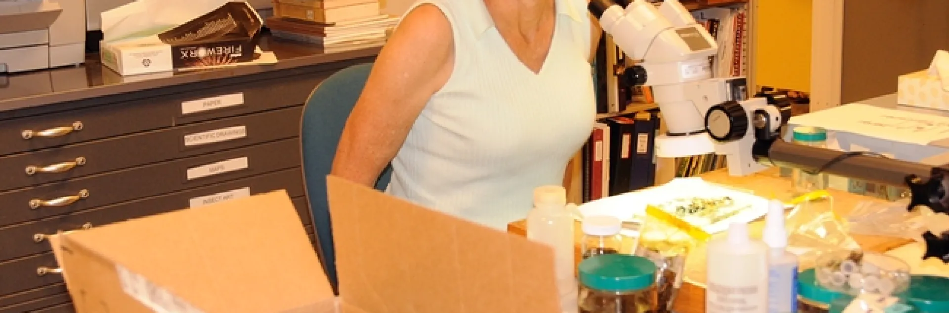 Lynn Kimsey, director of the Bohart Museum of Entomology, in her habitat. (Photo by Kathy Keatley Garvey)
