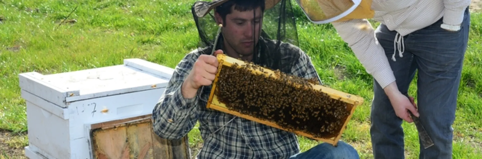 Billy Synk (left) shows Randall Cass a frame. (Photo by Kathy Keatley Garvey)