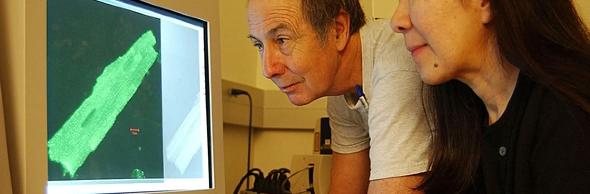 Heart researchers Bruce Hammock and Nipavan Chiamvimonvat. (Photo by Kathy Keatley Garvey)