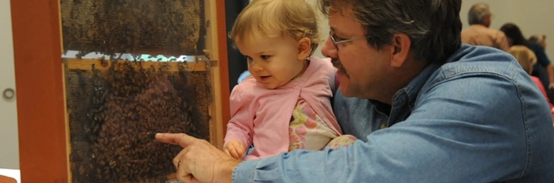 Beekeeper Brian Fishback shows his daughter, Emily, his bee observation hive. (Photo by Kathy Keatley Garvey)