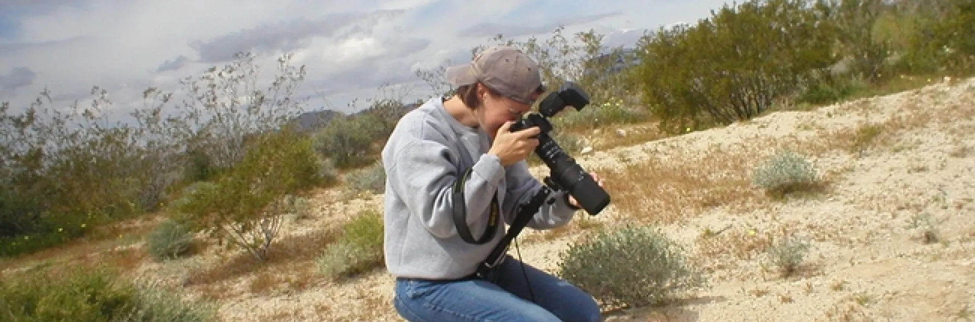 Fran Keller photographing insects in the Mojave Desert. (Photo by Mark deVries)