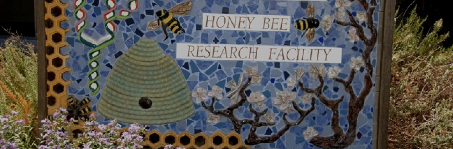 The sign in front of the Laidlaw facility includes bees, a skep, almond blossoms and DNA. It is the work of artist Donna Billick of Davis, a co-founder and co-director of the UC Davis Art/Science Fusion Program. (Photo by Kathy Keatley Garvey)