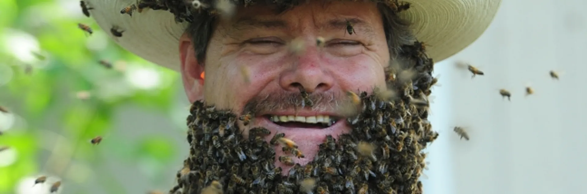 Wilton beekeeper Brian Fishback wearing a bee beard at the Harry H. Laidlaw Jr. Honey Bee Research Facility, UC Davis. This photo appeared in Kari-Lynn Winters' book, Buzz About Bees. (Photo by Kathy Keatley Garvey)