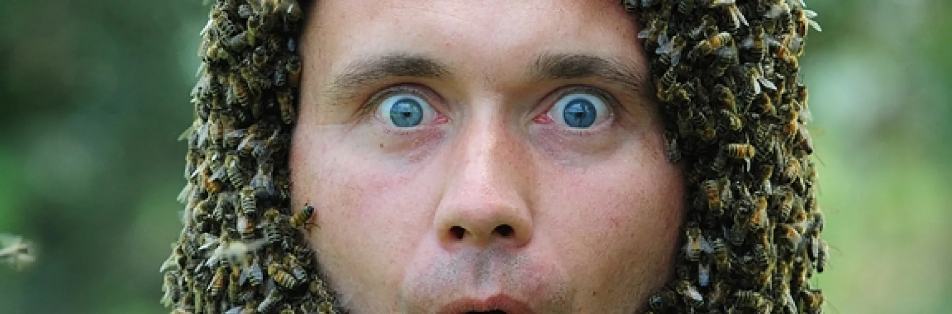 Jakub Gabka, a bee scientist from Poland, held this expression for a minute during the bee beard event at UC Davis. This photo appears on the cover of the current American Bee Journal. (Photo by Kathy Keatley Garvey)