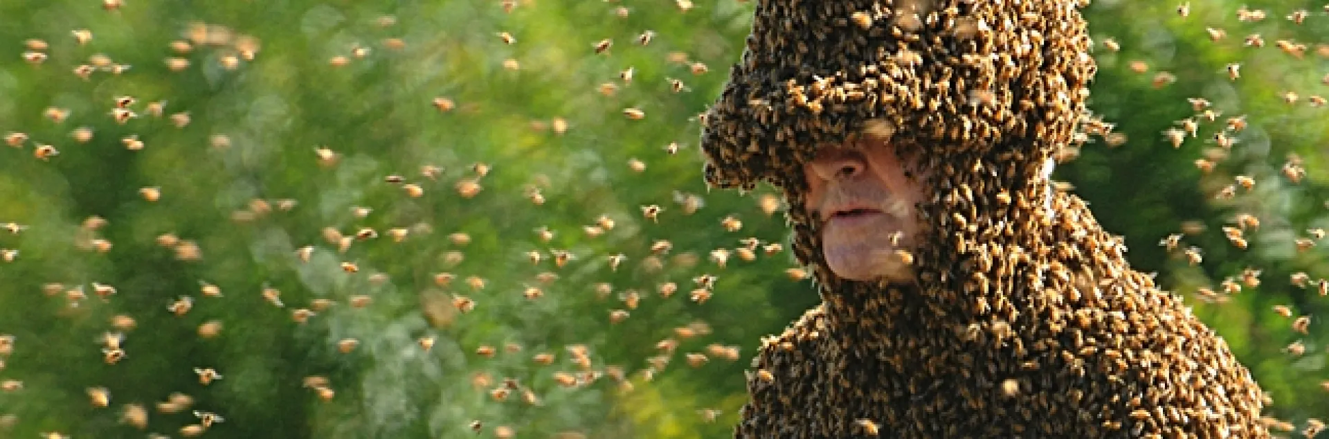 Norm Gary in his bee suit. (Photo by Kathy Keatley Garvey)