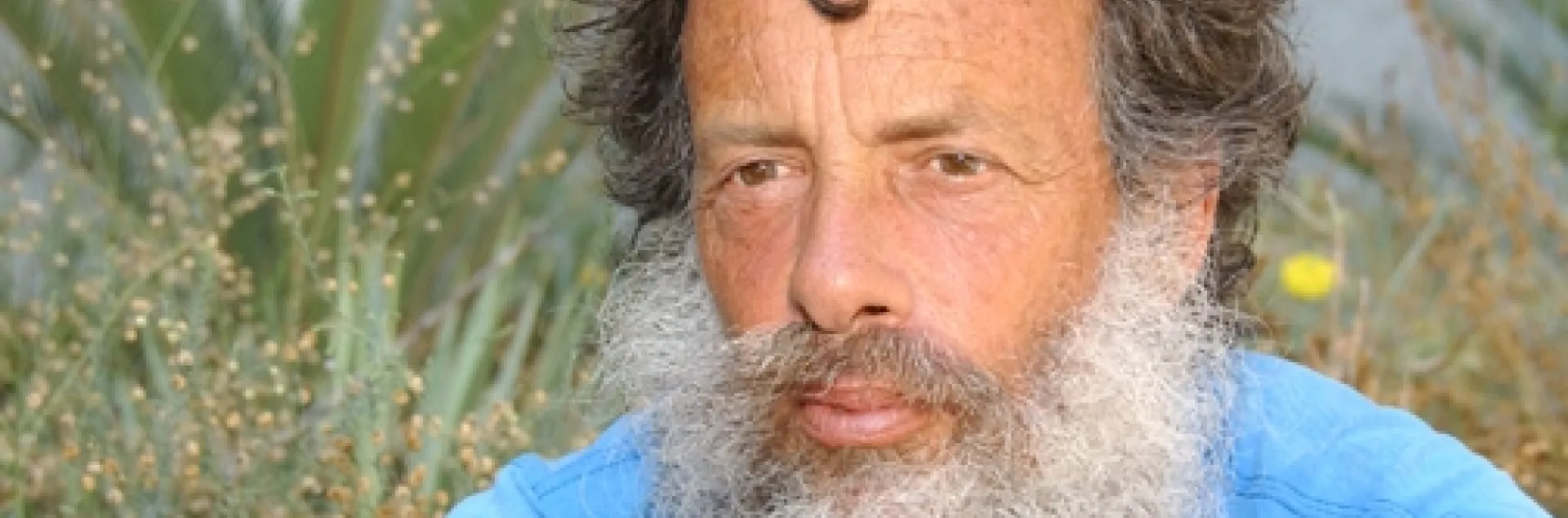 Butterfly expert Art Shapiro of UC Davis. (Photo by Kathy Keatley Garvey)