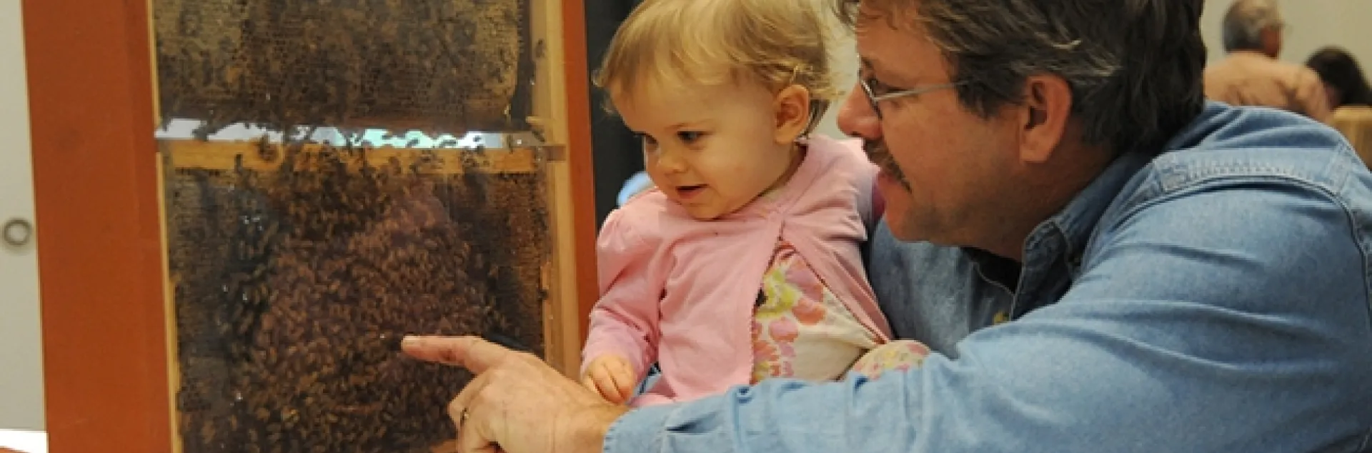 Brian Fishback shows his daughter, Emily, a bee observation hive. (Photo by Kathy Keatley Garvey)