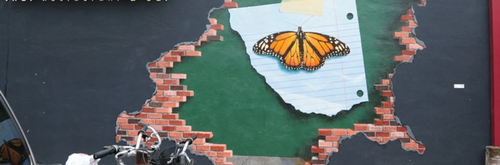 The mural from a distance. (Photo by Kathy Keatley Garvey)