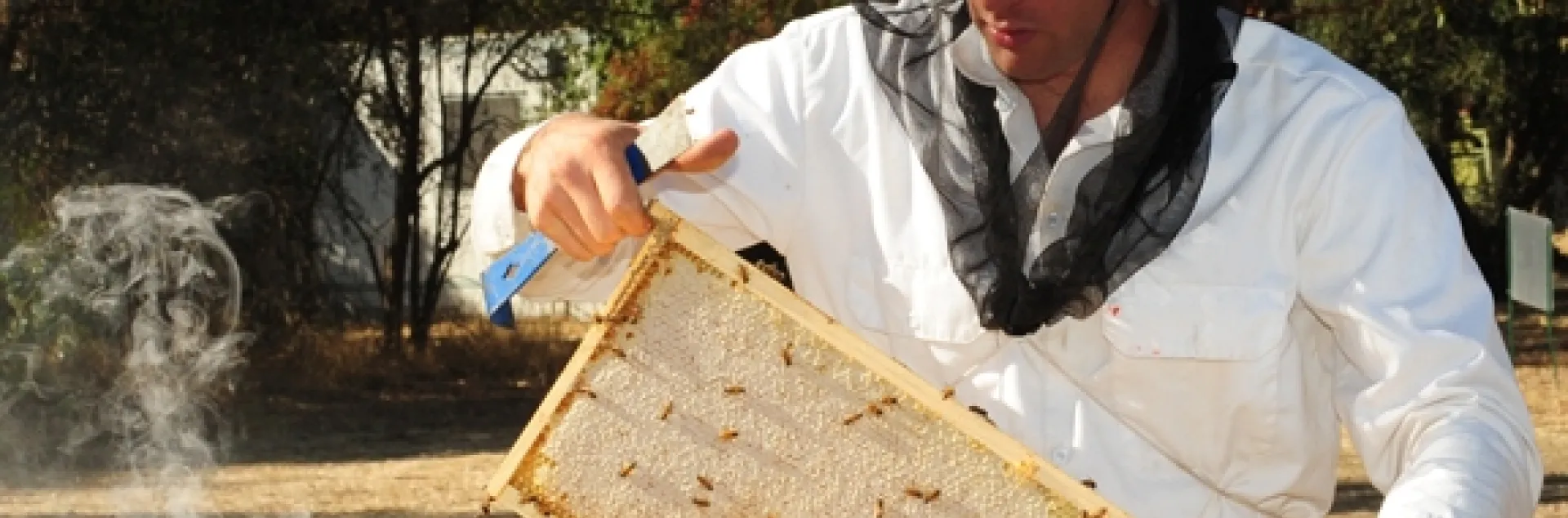 This photo of beekeeper Billy Synk, manager and staff research associate of the Harry H. Laidlaw Jr. Honey Bee Research Facility at UC Davis, appears on the cover of the February edition of the American Bee Journal. (Photo by Kathy Keatley Garvey)