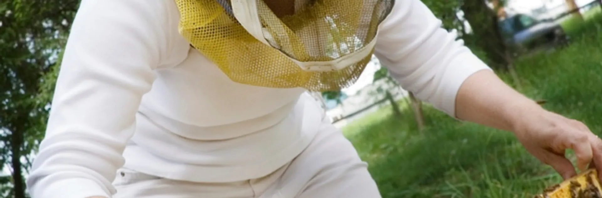 Maryann Frazier inspects a hive. (Photo courtesy of Penn State)