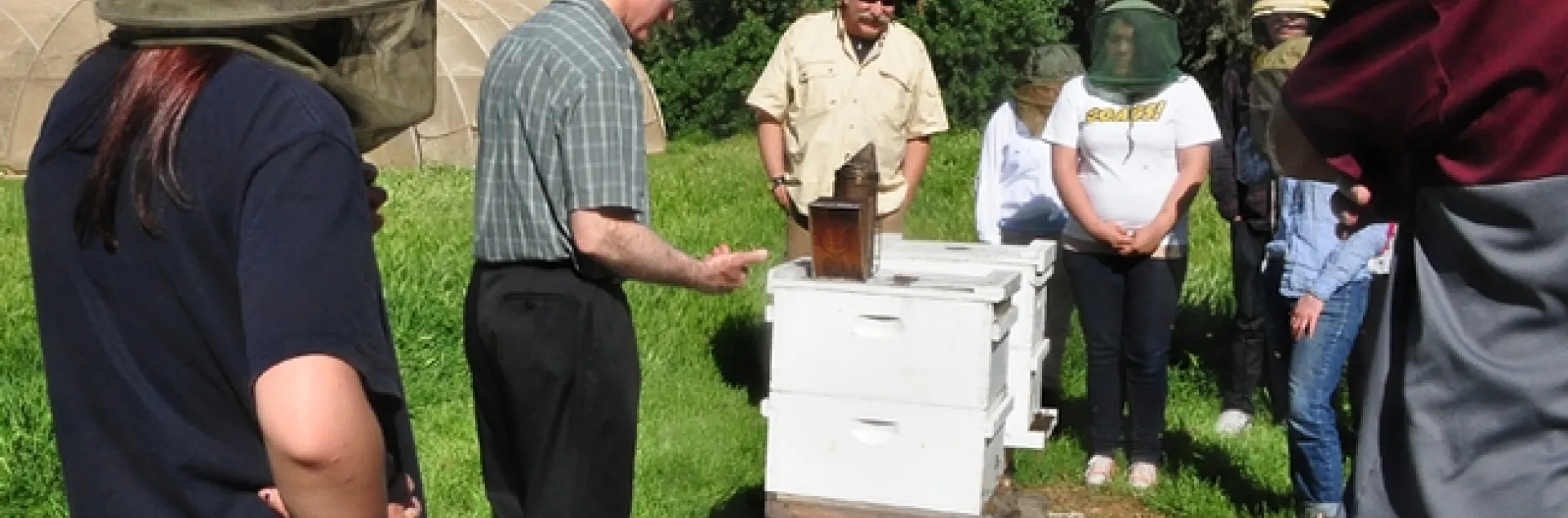 Extension apiculturist Eric Mussen (second from left) talks to a UC Davis class in the apiary of the Harry H. Laidlaw Jr. Honey Bee Research Facility. Third from left is forensic entomologist Robert Kimsey, one of the two class instructors.(Photo by Kathy Keatley Garvey)