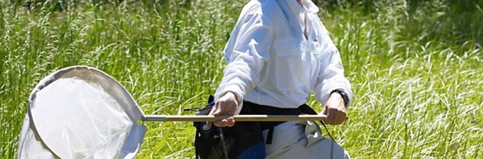 Fran Keller chasing dragonflies. (Photo by Alex Wild)