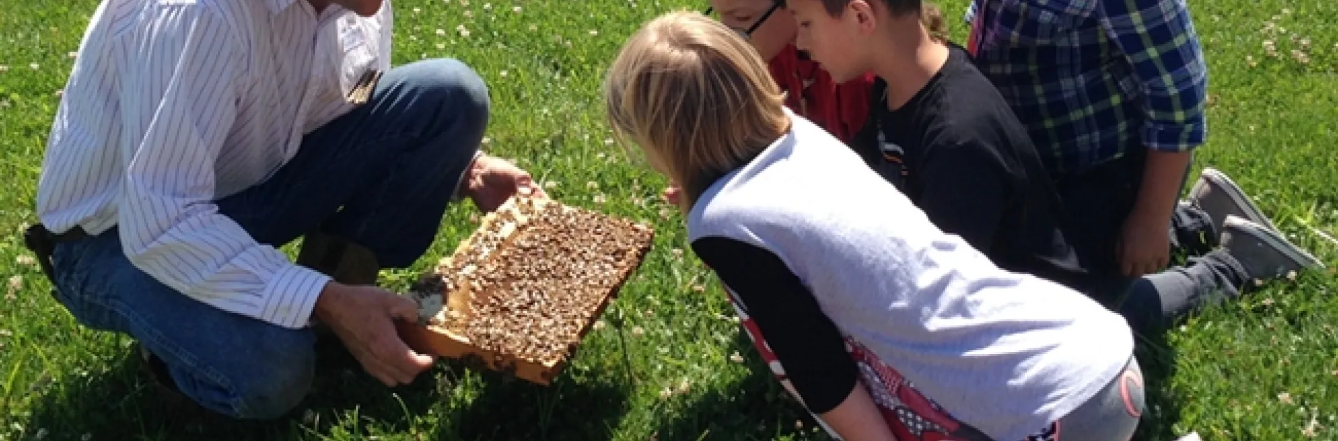Beekeeper Brian Fishback shows students at Lake Canyon Elementary School, Galt, a frame of bees. (Photo by Beth Bartkowski)