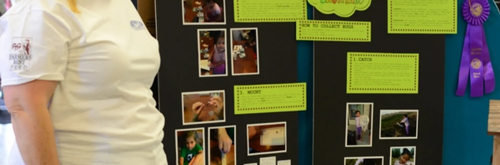 Sharon Payne, superintendent of the Today's Youth Building at the Dixon May Fair, stands by a 6-year-old's bug exhibit, which won a blue ribbon and best of show. (Photo by Kathy Keatley Garvey)