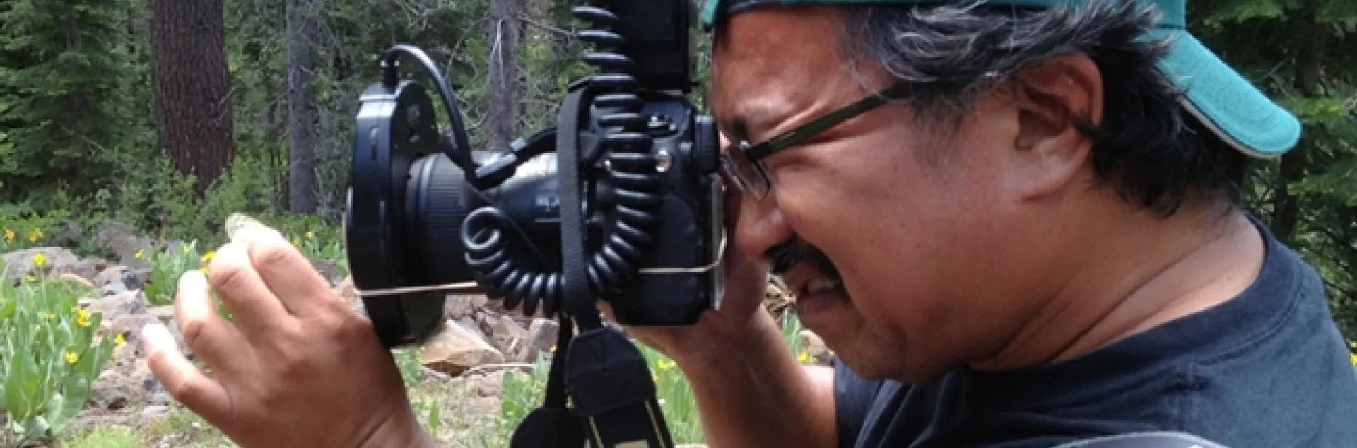 Eddie Dunbar, founder and president of the Insect Sciences Museum of California, photographs insects.