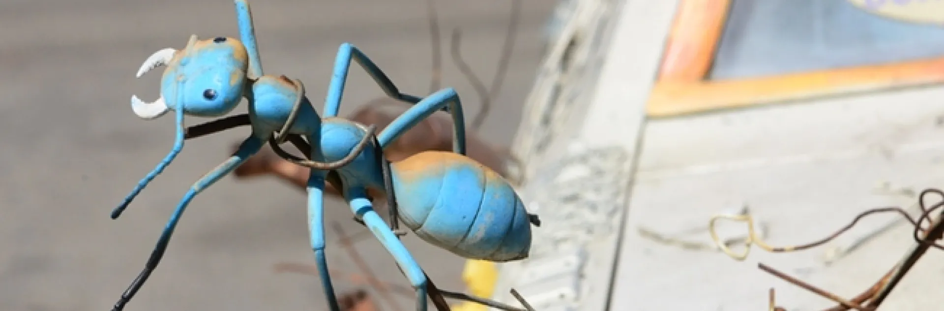 An stylized ant on the art car. (Photo by Kathy Keatley Garvey)