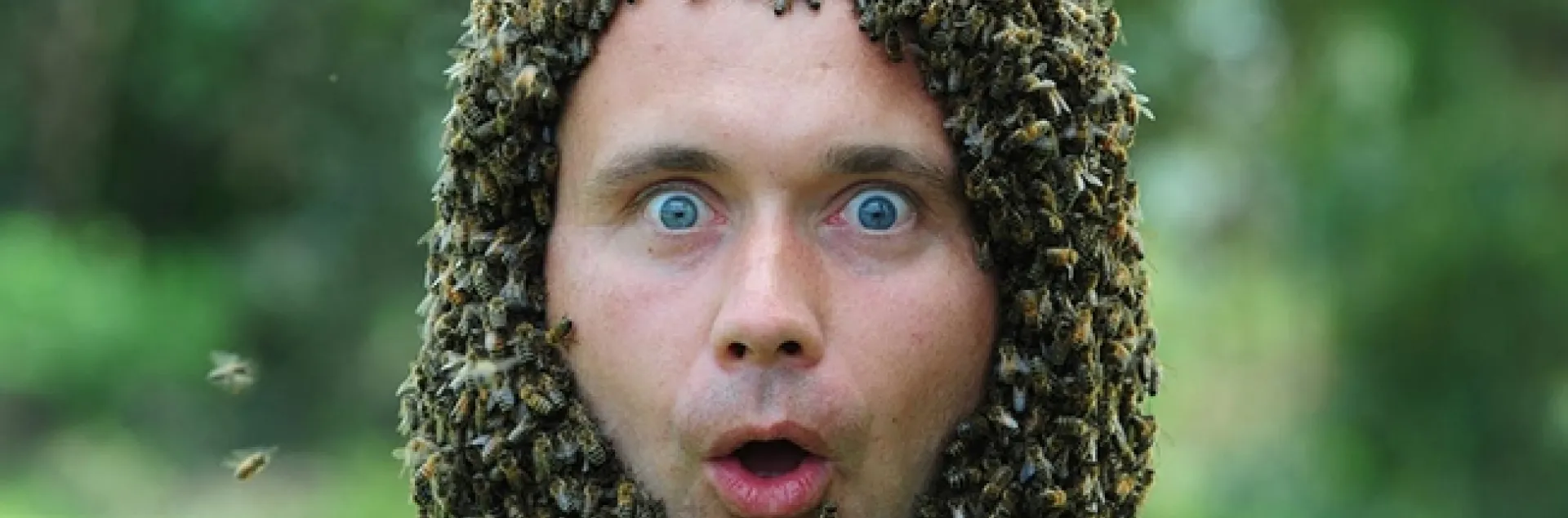 This photo of former UC Davis visiting bee scientist Jakub Gabka of Poland won the gold award for best feature photo, presented recently by international Association for Communication Excellence. (Photo by Kathy Keatley Garvey)