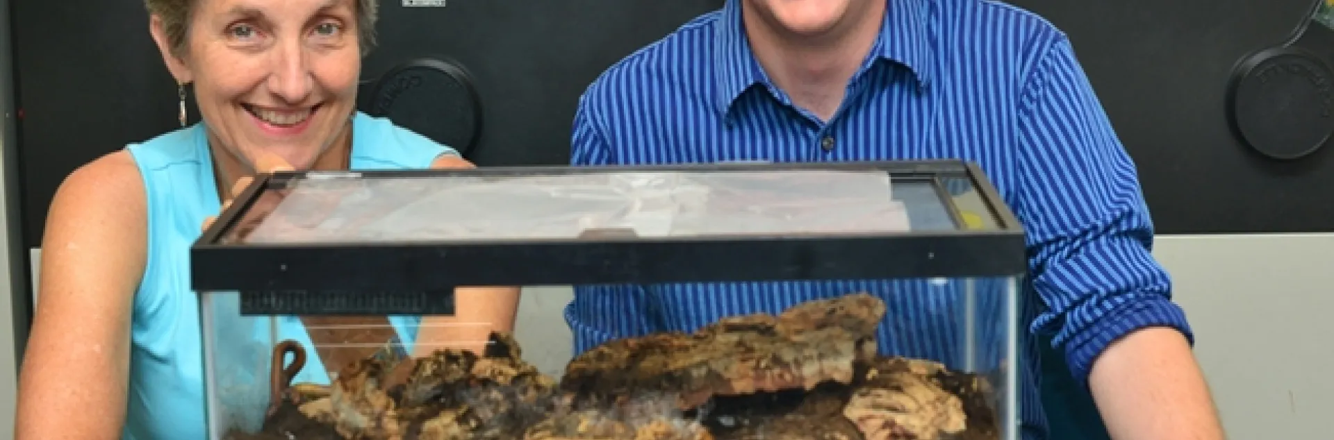 Lynn Kimsey, director of the Bohart Museum of Entomology, and millipede enthusiast Evan White, both of UC Davis,