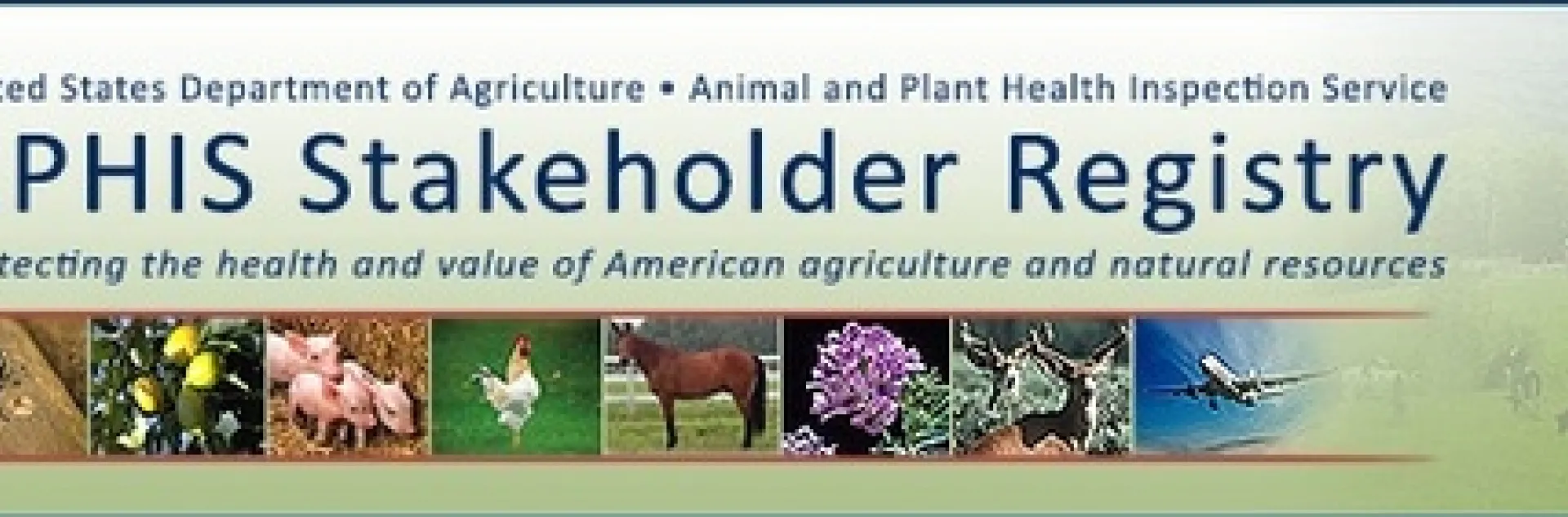 APHIS