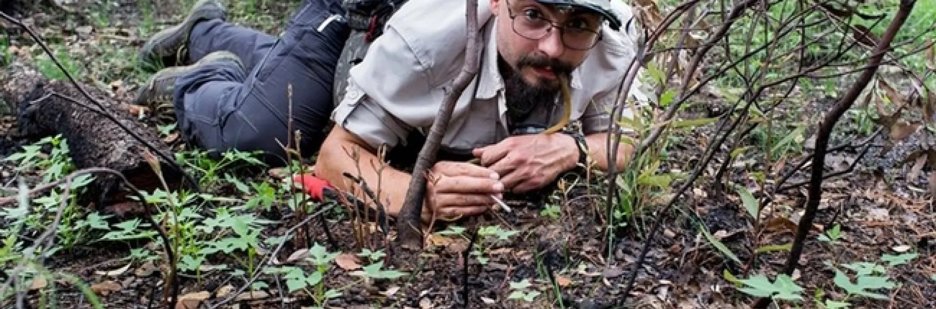Myrmecologist Brendon Boudinot in the field. This was taken at the Southwest Research Station in the Chiricahua Mountains near Portal, Ariz., by Roberto Keller, National Museum of Natural History and Science, Portugal.