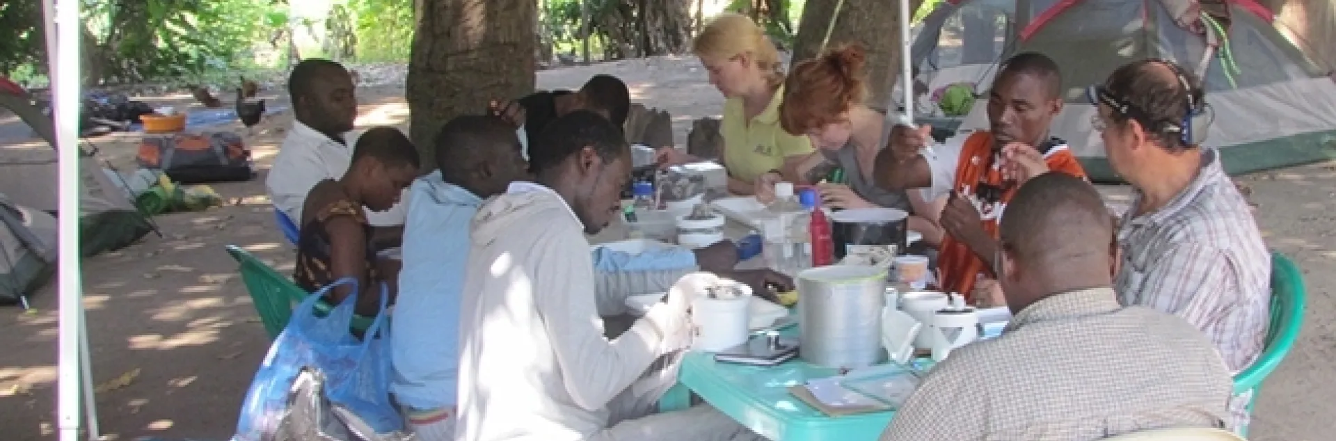 Medical entomologist Laura Norris (right side of table, second from top) works with a night's catch of mosquitoes in Mali.