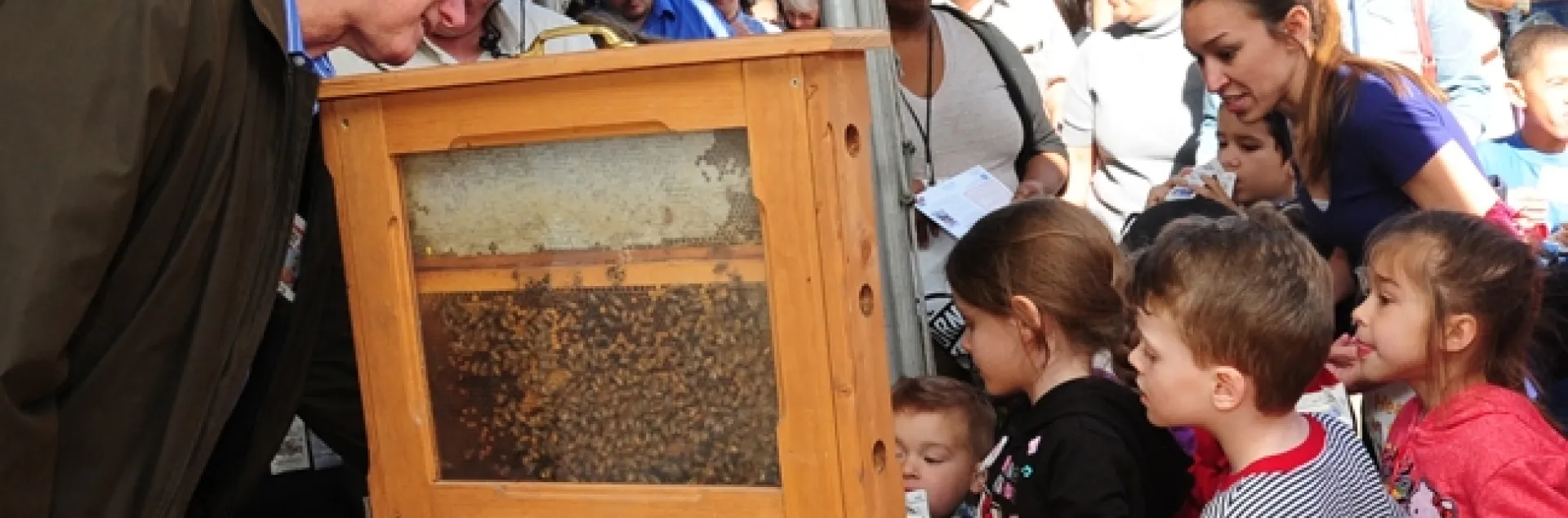 Extension apiculturist emeritus Eric Mussen of the UC Davis Department of Entomology and Nematology talks to the crowd. (Photo by Kathy Keatley Garvey)
