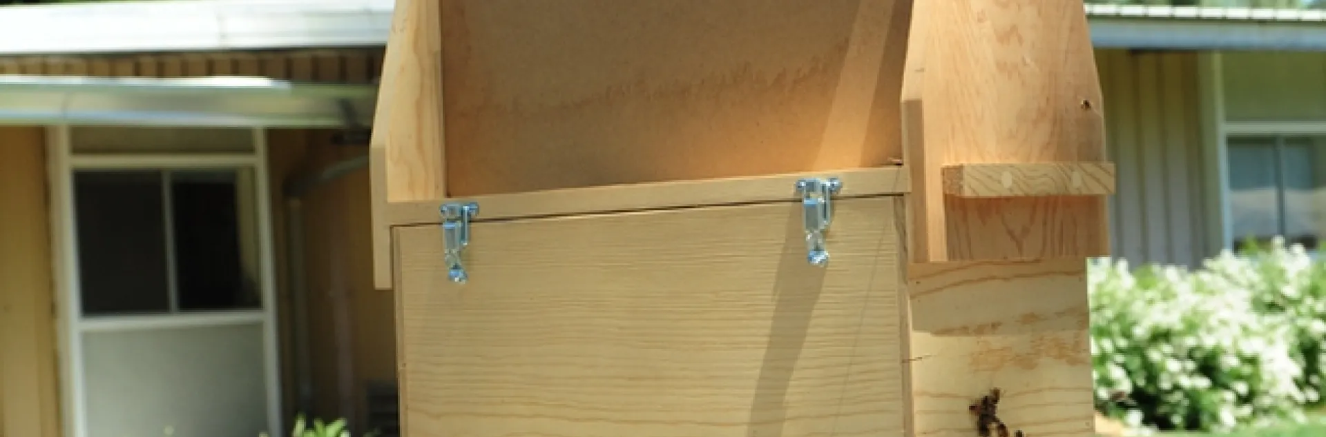 This bee observation hive, named "The Buzzingham Palace," will be on display Thursday through Sunday, May 7-10 at the Dixon May Fair. (Photo by Kathy Keatley Garvey)