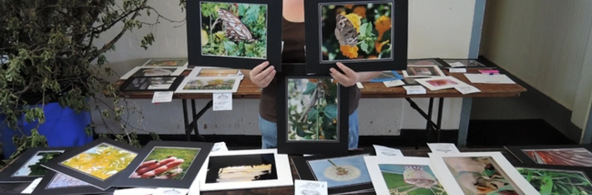 Dixon May Fair Youth Building superintendent Sharon Payne with some of the insect photographs taken by youth exhibitors.(Photo by Kathy Keatley Garvey)