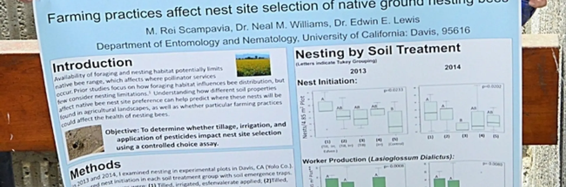 Rei Scampavia with her first-place research poster, “Farming Practices Affect Nest Site Selection of Native Ground Nesting Bees." (Photo by Kathy Keatley Garvey)