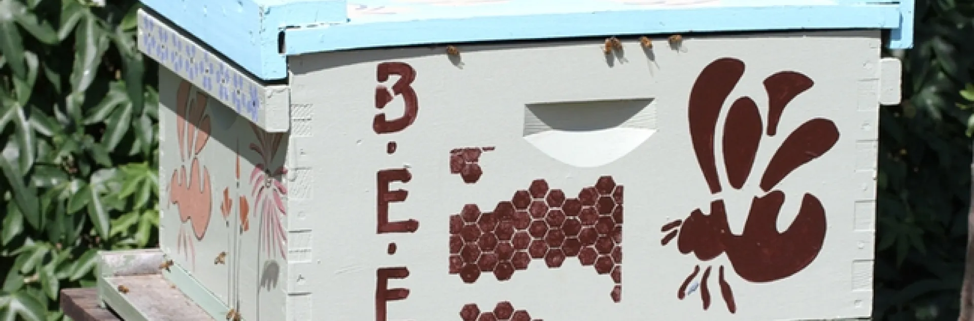 A bee colony is one of the features in the Häagen-Dazs Honey Bee Haven on Bee Biology Road, west of the UC Davis campus. (Photo by Kathy Keatley Garvey)