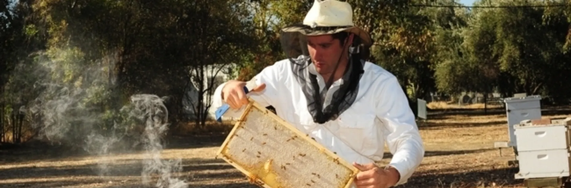 Former UC Davis staff research associate/beekeeper Billy Synk, shown in the apiary of the Harry H. Laidlaw Jr. Honey Bee Research Facility, has been named the director of Pollination Programs for Project Apis m. (Photo by Kathy Keatley Garvey)