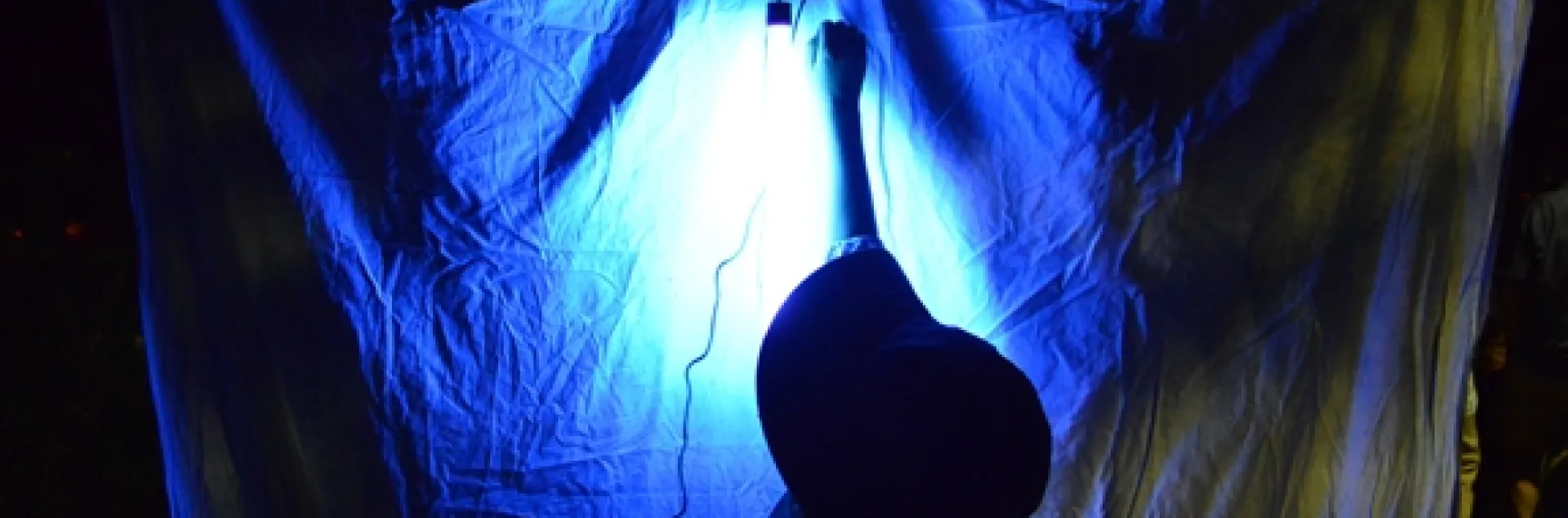 Moth Night at the Bohart Museum of Entomology was the first-ever evening open house. (Photo by Kathy Keatley Garvey)