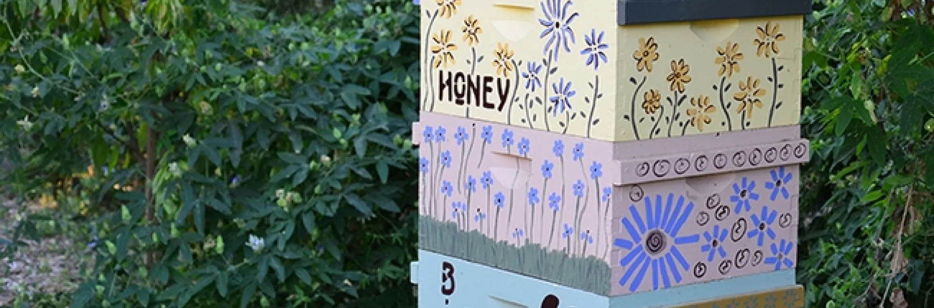 A viable bee hive is a new addition in the bee garden, which was planted in the fall of 2009.(Photo by Kathy Keatley Garvey)