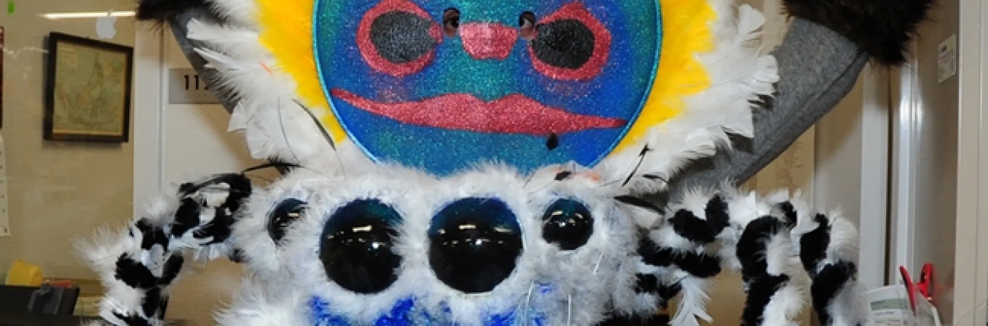 UC Davis entomology undergraduate student Wade Spencer practices his peacock jumping spider moves. (Photo by Kathy Keatley Garvey)