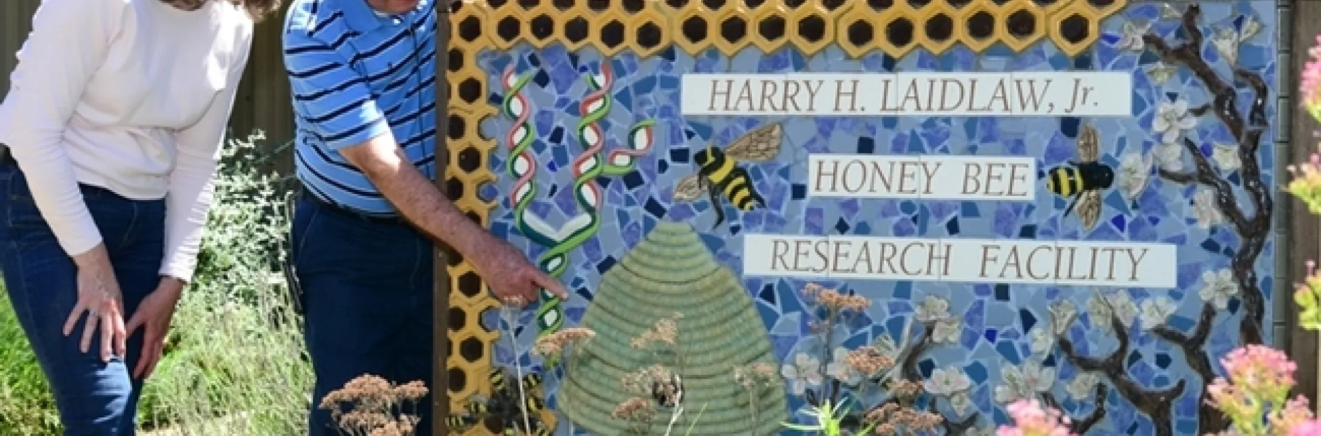 Norm Gary, UC Davis emeritus professor of entomology, with Barbara Allen-Diaz, then vice president of the UC Agriculture and Natural Resources. (Photo by Kathy Keatley Garvey)