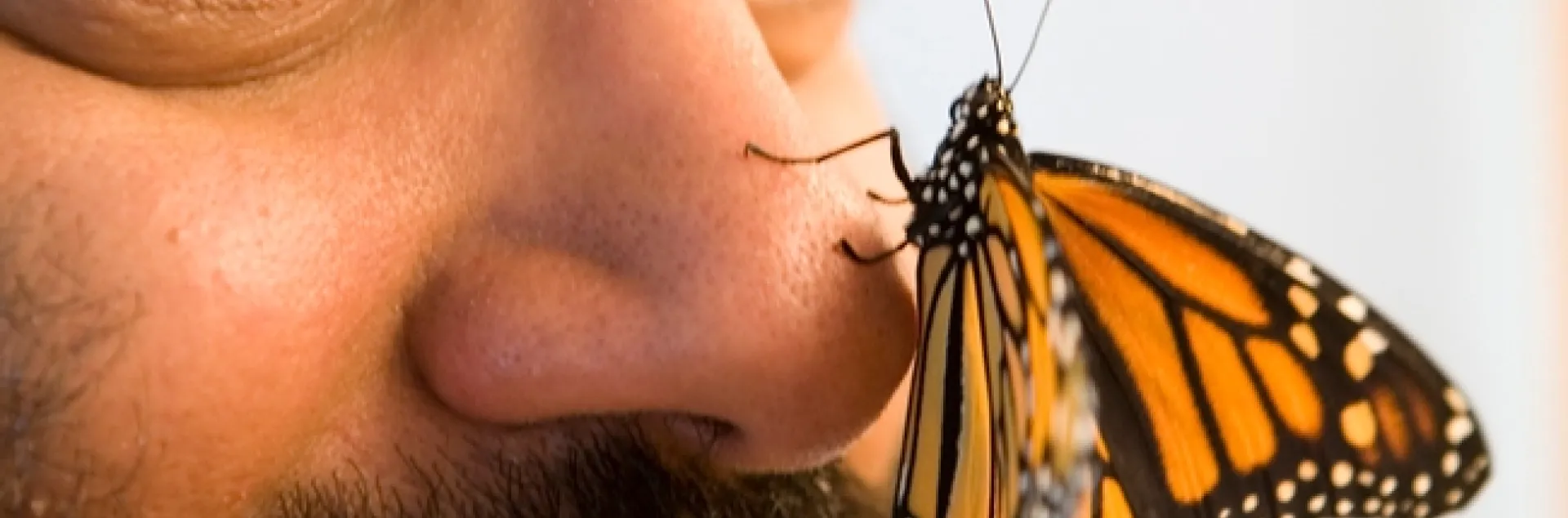 Anurag Agrawal and his friend, a monarch butterfly. (Jason Koski, Cornell University Photography)